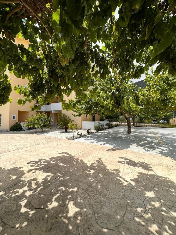 Hotel Odyssion Hotel 3*